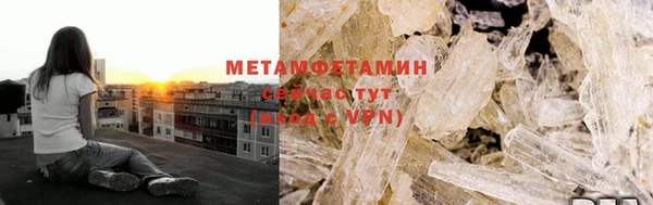 прущие грибы Наволоки