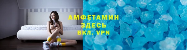 прущие грибы Наволоки