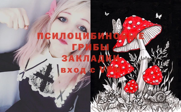 сатива Навашино