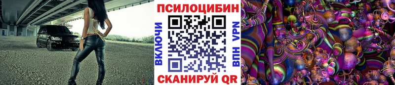Псилоцибиновые грибы Cubensis  Новопавловск 